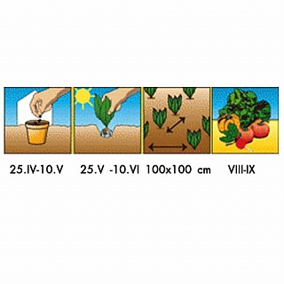 Разноцветный